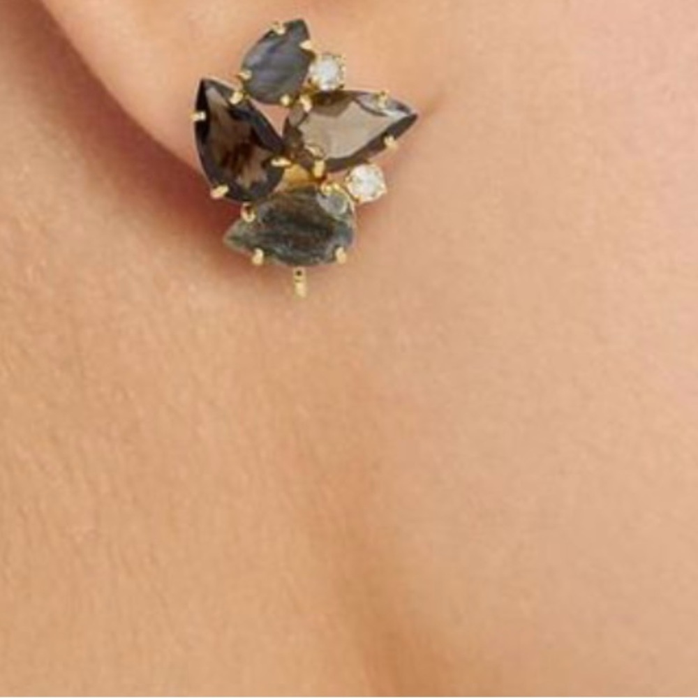 Bounkit Labradorite Smoky Quartz Earrings NWT